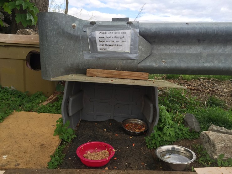 2015-05-06 16.07.35 HDR-2