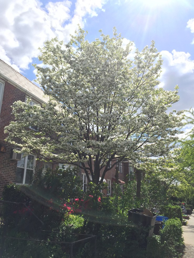 2015-05-13 15.27.05 HDR-2