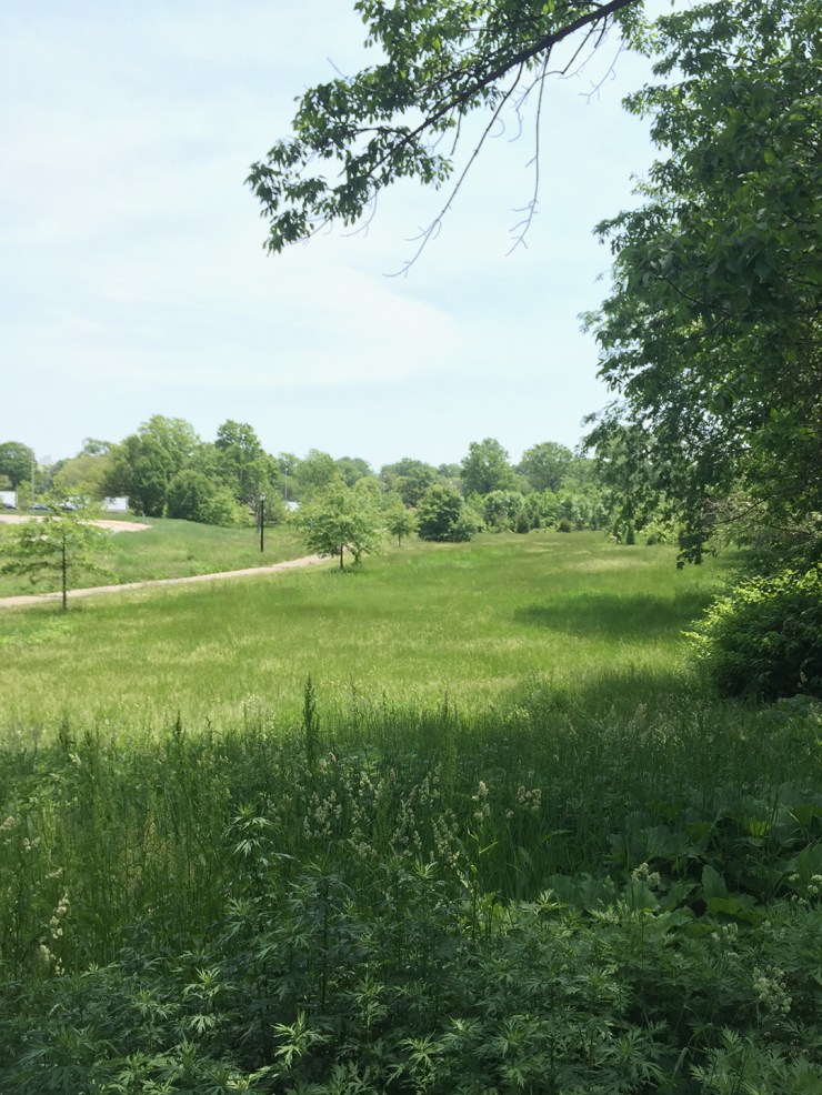 2015-05-26 13.16.36 HDR